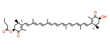 (3S,3'S)-Dihydroxy-beta,beta-carotene-4,4'-dione 3-ester